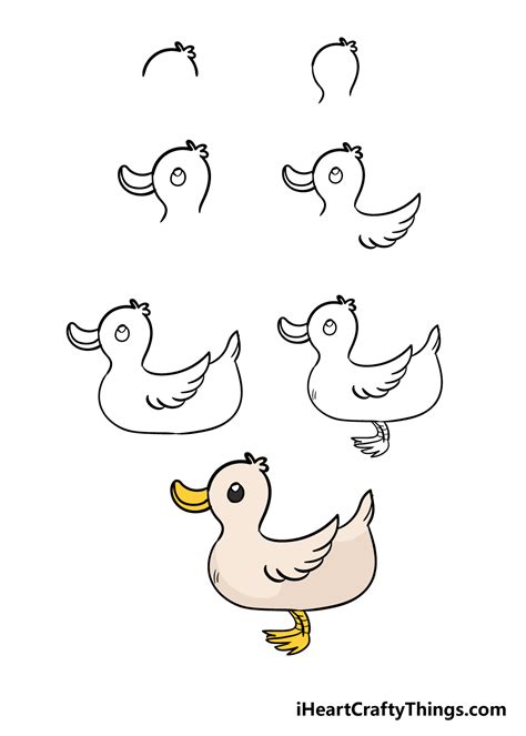 Update Duck Drawing Step By Step Super Hot Seven Edu Vn