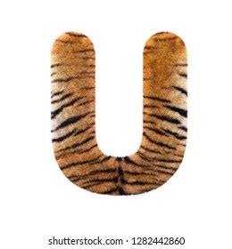 Tiger Letter U Uppercase 3d Feline Stock Illustration 1282442860
