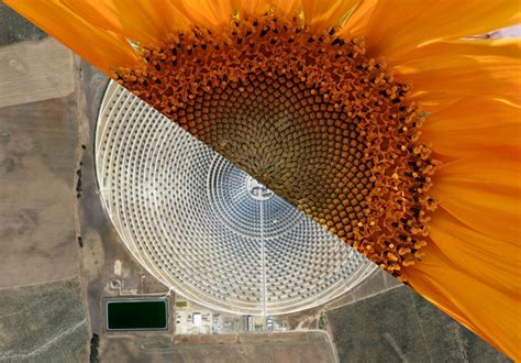 Biomimicry Powering The World With Lessons From Nature Power Technology