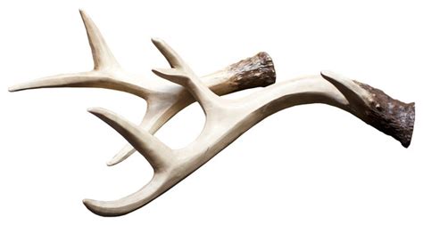 Alibaba.com offers 2,482 resin deer antlers products. Resin Deer Antlers - Set of 2 - Modern - Vases - by Dot & Bo