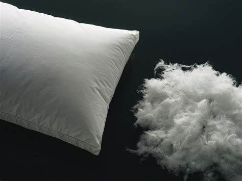 Nikmati juga pengalaman menyenangkan & lebih hemat untuk berbelanja bantal kesehatan dengan bebas ongkir hingga fitur cicilan 0% dari berbagai bank. Berbagai Jenis Isi Bantal Untuk Tidur Nyenyak | Cek&Ricek