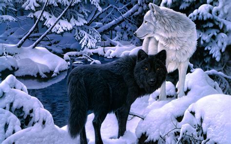 46 Wolf Wallpapers ·① Download Free Stunning Hd Wallpapers For Desktop
