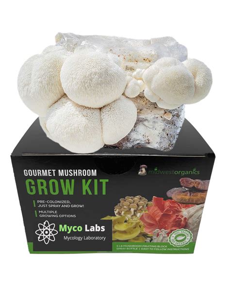 Lions Mane Mushroom Grow Kit 5lbs