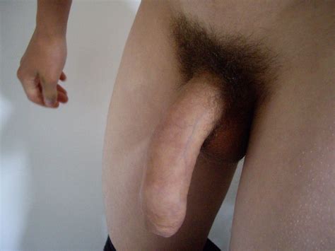 Normal Flaccid Cock