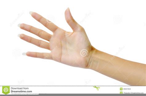 Right Hand Palm Up Clipart Free Images At