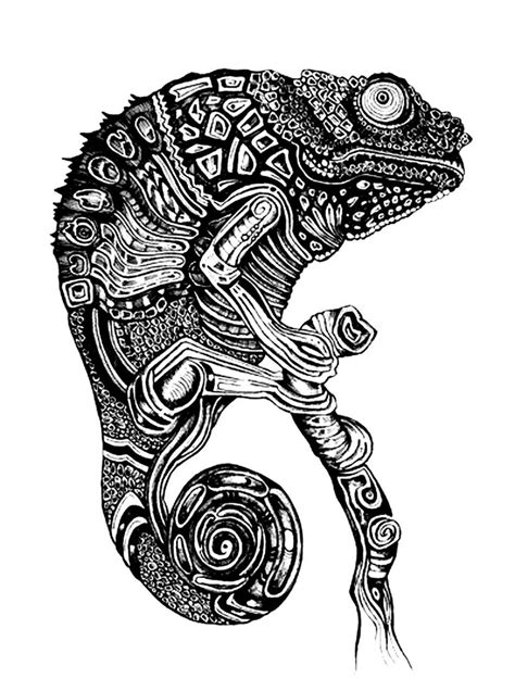 This is the appropriate chameleon coloring sheet for your kid to start with. Free coloring page coloring-adult-difficult-cameleon. Very ...