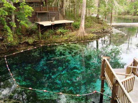 10 Best Natural Springs Near Tampa You Must Visit