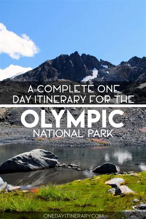 One Day In Olympic National Park Guide Top Things To Do Artofit