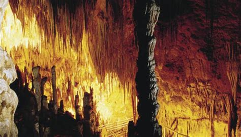 Hastings Caves State Reserve In Tasmania
