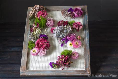 Framed Dried Flowers Makes An Amazing Piece Of Art Hearth And Vine