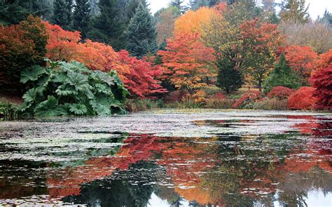 Autumn In Vandusen Botanical Garden Photograph By Gerry Bates Fine