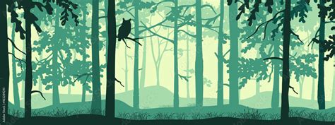 Horizontal Banner Of Forest Background Silhouettes Of Trees Owl On