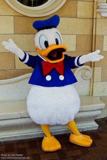 Welcome To Disney Characters Central Donald Is My Favorite Disney