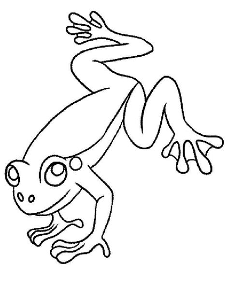 Poison Dart Frog Coloring Pages Frog Coloring Pages Animal Coloring