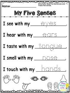 senses body parts st grade science preschool worksheets