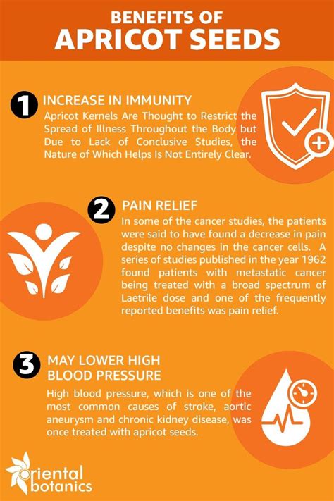 9 Health Benefits Of Dried Apricots Nutritional Facts