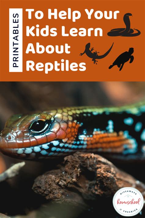 Printables To Help Your Kids Learn About Reptiles In 2020 Kids Learning