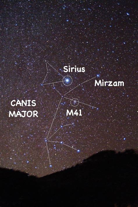 Orion And Sirius Locations Orion And The Sky Brightest Star Sirius