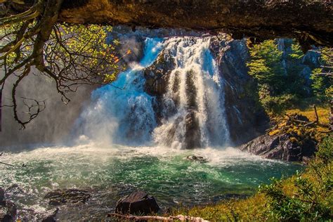Landscape Nature Waterfall Forest Grass River Pond Trees Patagonia