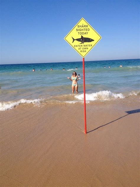 On The Beaches Of Australia Where I Always Feel Safe Beach Signs