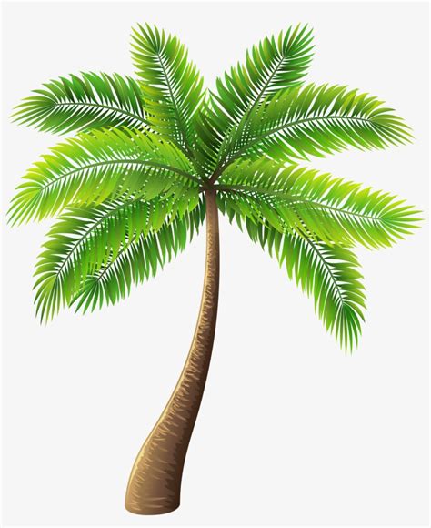 Palm Tree Png Clip Art Palm Tree Png Cartoon 5134x6000 Png Download