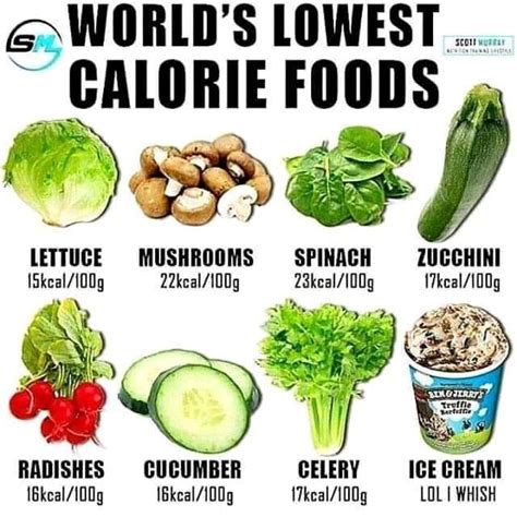 World S Lowest Calorie Foods Negative Calorie Foods Low Calorie