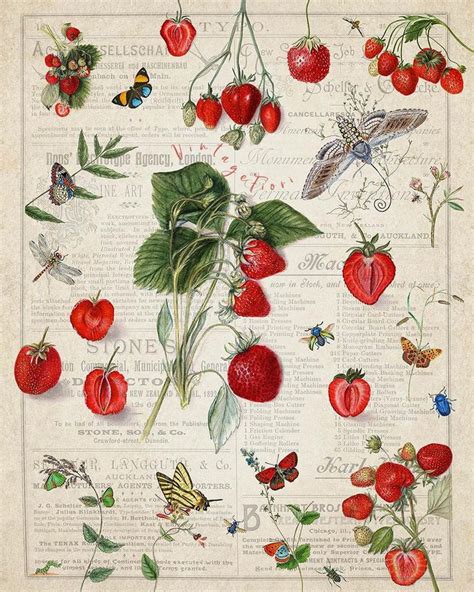Strawberry Art Print Vintage Botanical Wall Art Kitchen Etsy Flower Artwork Strawberry Art