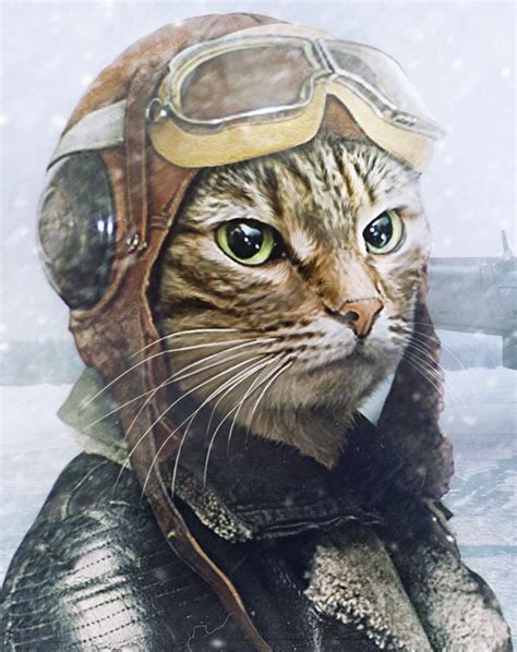 Cat Pilot By Xsti Via Behance Cats Illustration Cat Art Cute Cats