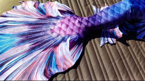 Wisteria Betta Fish Mermaid Tail Youtube