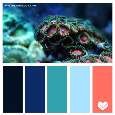 Living Coral Color Palette Ocean Vibes Ocean Color Palette Coral