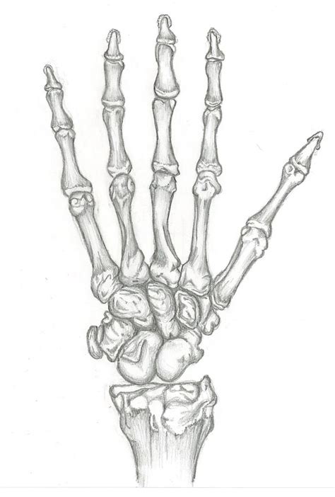 How To Draw Skeleton Hands Step By Step At Drawing Tutorials