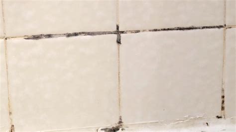 Black Mold In Bathroom Tile Grout Rispa