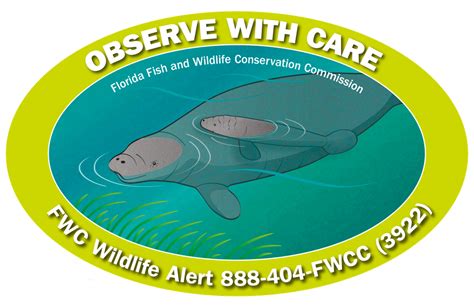 New Manatee And Turtle Decals From Fwc Released