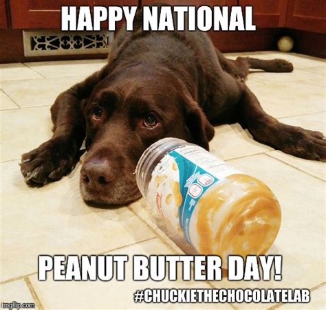 National Peanut Butter Day Imgflip
