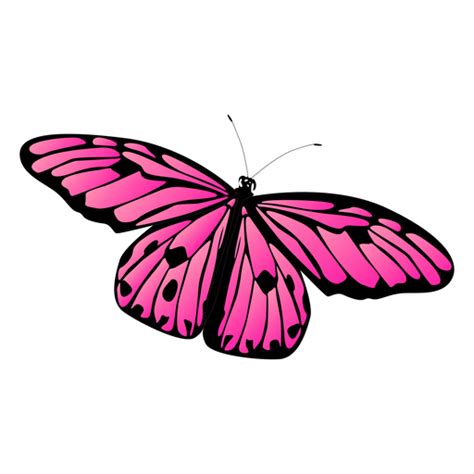 Borboleta de vetor detalhada borboleta rosa - Baixar PNG/SVG Transparente png image
