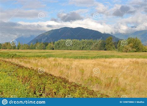 British Columbia Valley And Mountains Stock Photo Image Of Rolling