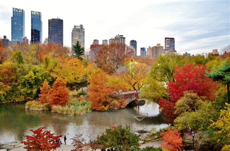 New York City Manhattan Fall Foliage The Pond Central Park