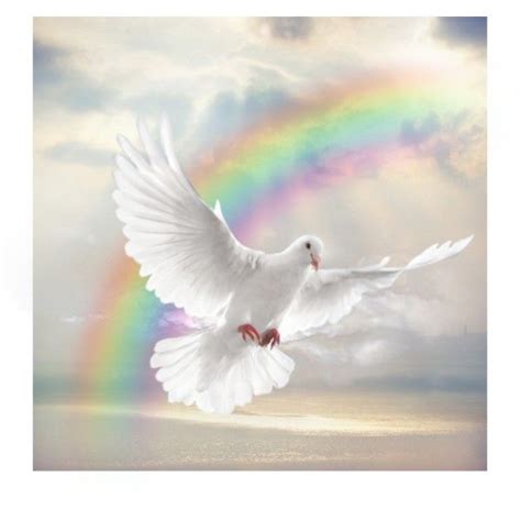 239 Best Dove Of Peaceholy Spirit Images On Pinterest