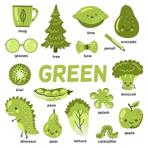 Free Vector Green Objects And Vocabulary Words