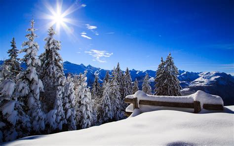 Winter Full Hd Wallpaper And Background Image 1920x1200 Id476278