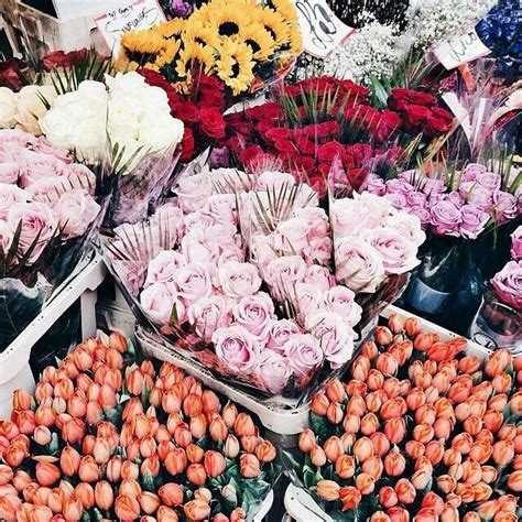 In bloom. #tulips #roses #flowers #spring (With images) | Pretty ...