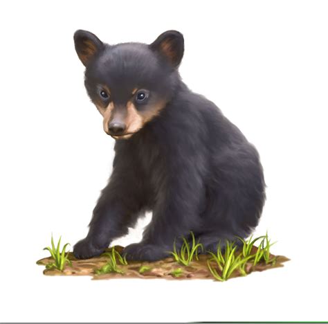Black Bear Cub Clipart Free Images At Clker Vector Clip Art