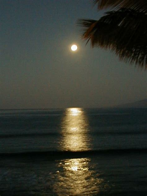 Moon Over Maui Maui Hawaii Island