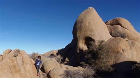 Visiting Joshua Tree National Park California With Gabriel Traveler