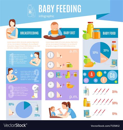 Baby Feeding Information Infographic Layout Vector Image