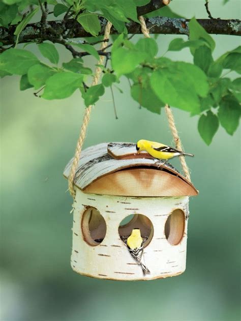 idées pour fabriquer un nichoir à oiseaux parfait Nichoir Mangeoire oiseau Coquille d