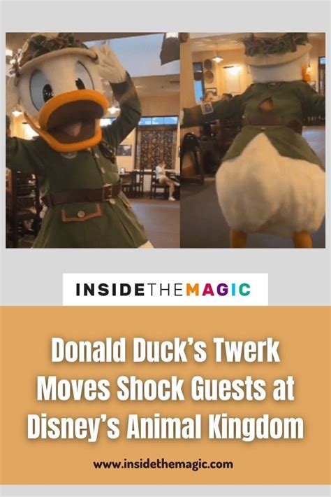 Donald Ducks Twerk Moves Shock Guests At Disneys Animal Kingdom