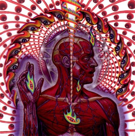 Lateralus By Tool 2 2001 Cd Volcano 2 Cdandlp Ref2407520591