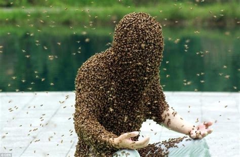 Chinese Man Ruan Liangming Gets World Record For Longest Time Covered In Bees Daily Mail Online