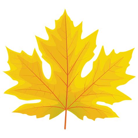 Big Leaf Maple Autumn Leaf Clipart Free Download Transparent Png